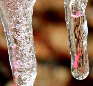 The red is a birdfeeder refect in the ice! 